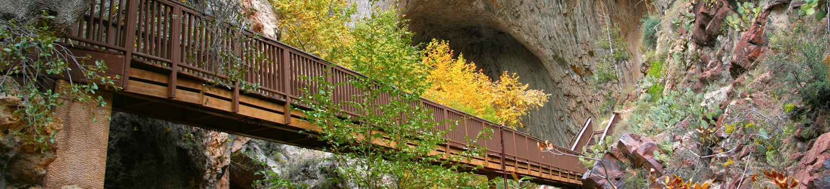 A view from the bottom of Pine Canyon looking up at the new foot bridge surrounded by autumn colors above.